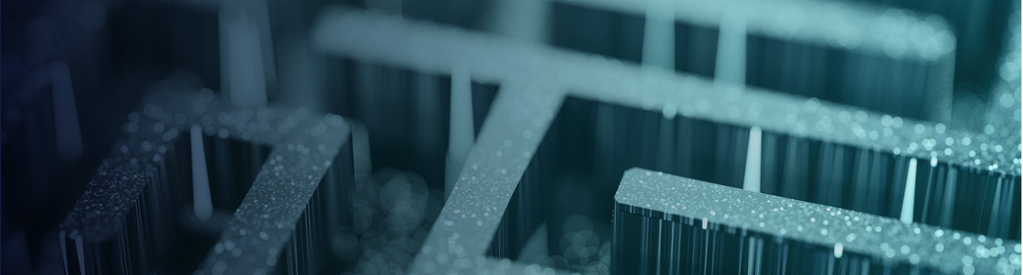 Investment Strategy BroadRiver Asset Management, L.P.